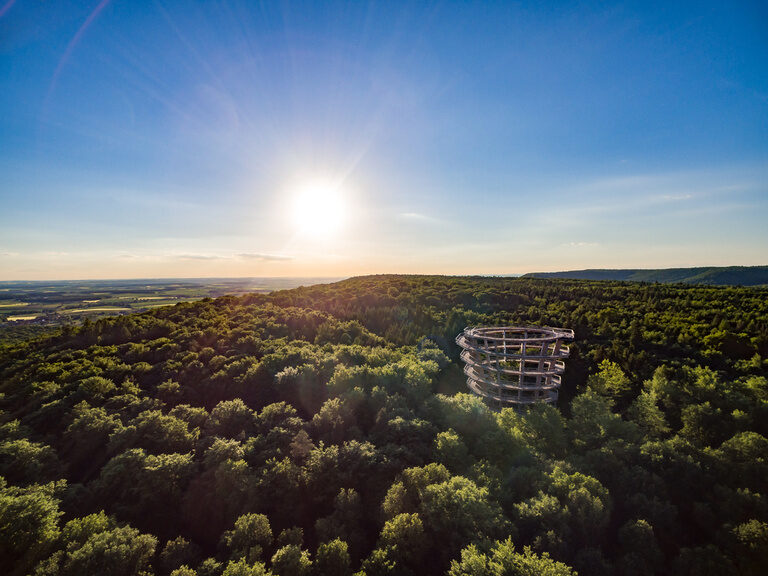 Der Baumwipfelpfad Steigerwald ebrach mit weitläufigem Waldgebiet in Franken