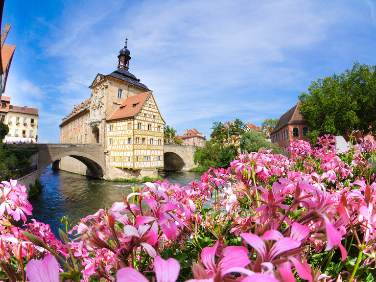Eine Brücke spannt sich über den Fluss im Bamberg, im Vordergrund blühende Blumen.
