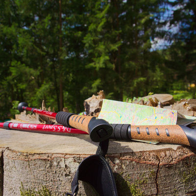 Wanderstöcke sowie eine Landkarte liegen auf einem Baumstumpf im dichten Frankenwald