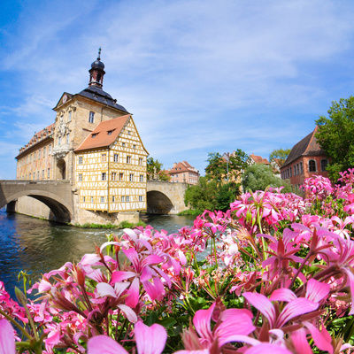 Eine Brücke spannt sich über den Fluss im Bamberg, im Vordergrund blühende Blumen.