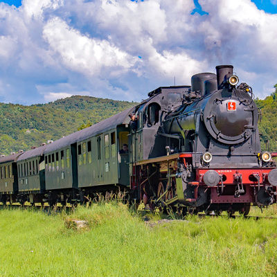 Die Dampfbahn Fränkische Schweiz fährt durch eine üppig grüne Landschaft.