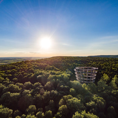 Der Baumwipfelpfad Steigerwald ebrach mit weitläufigem Waldgebiet in Franken