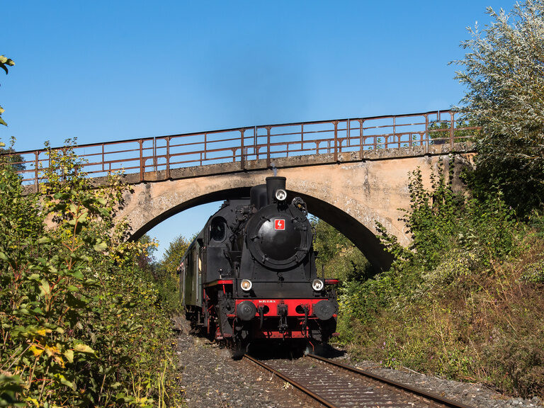 Ein Dampflok der Dampfbahn Fränkische Schweiz fährt unter einer Brücke entlang.