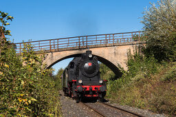 Ein Dampflok der Dampfbahn Fränkische Schweiz fährt unter einer Brücke entlang.