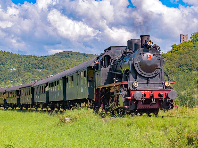 Die Dampfbahn Fränkische Schweiz fährt durch eine üppig grüne Landschaft.