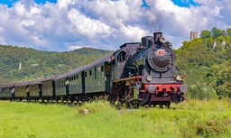 Die Dampfbahn Fränkische Schweiz fährt durch eine üppig grüne Landschaft.