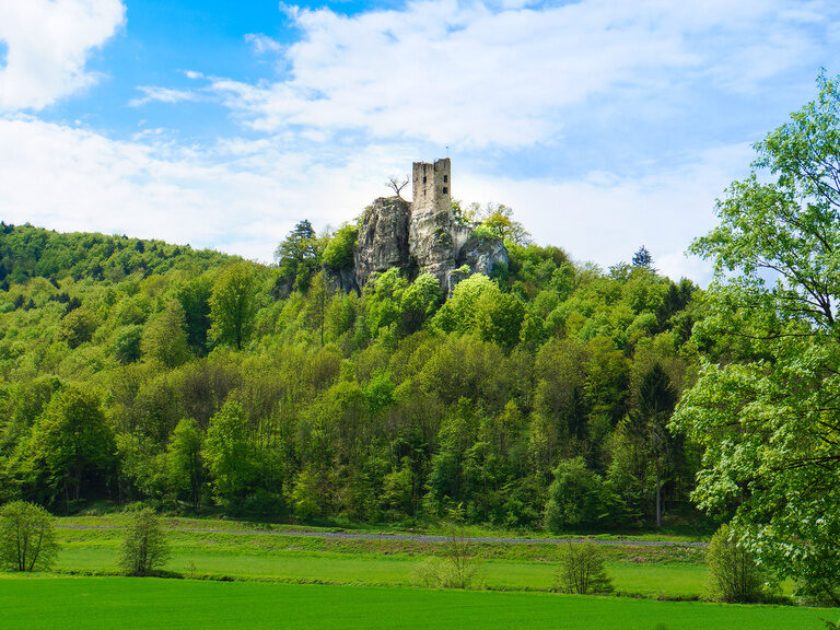 Eine grüne Wiese mit Bäumen und einer Burg im Hintergrund in Franken