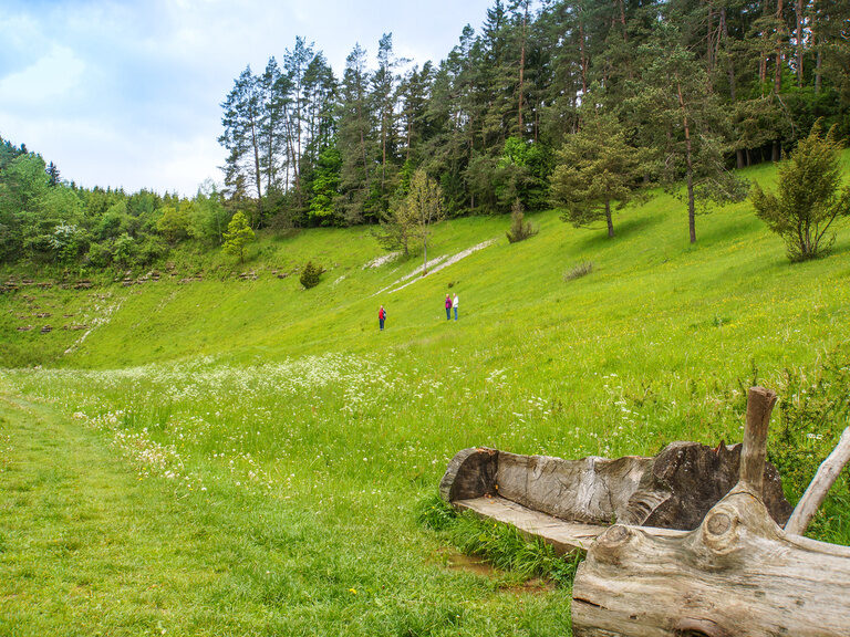 Eine Holzbank ruht vor dem satten Grün eines Hügels.