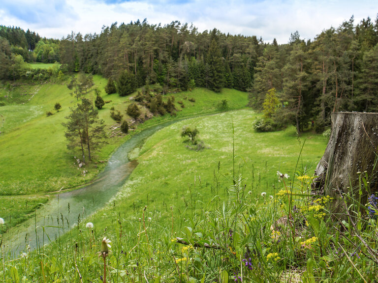 Die grüne Wald und Wiesenlandschaft in der Fränkischen Schweiz an einem schönen Sommertag