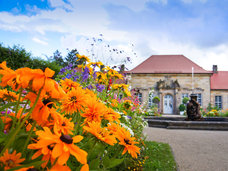 Ein blühender Garten mit orangefarbenen Blumen